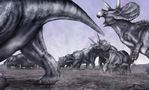 Triceratops Herd in Danger